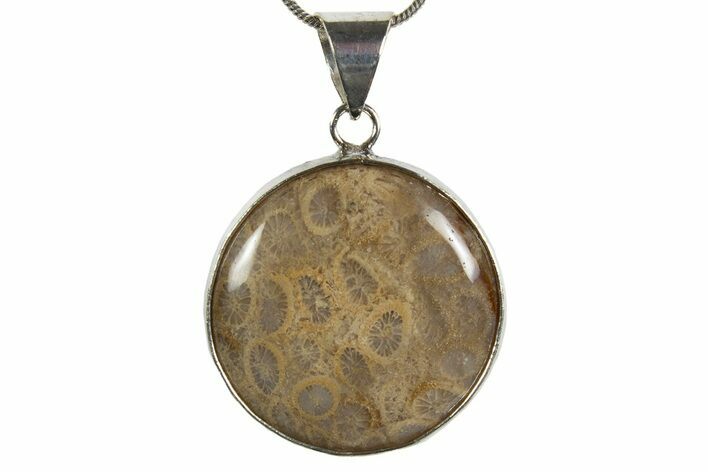 Polished Indonesian Fossil Coral Pendant (Necklace) #345278